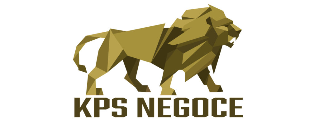 logo KPS NEGOCE